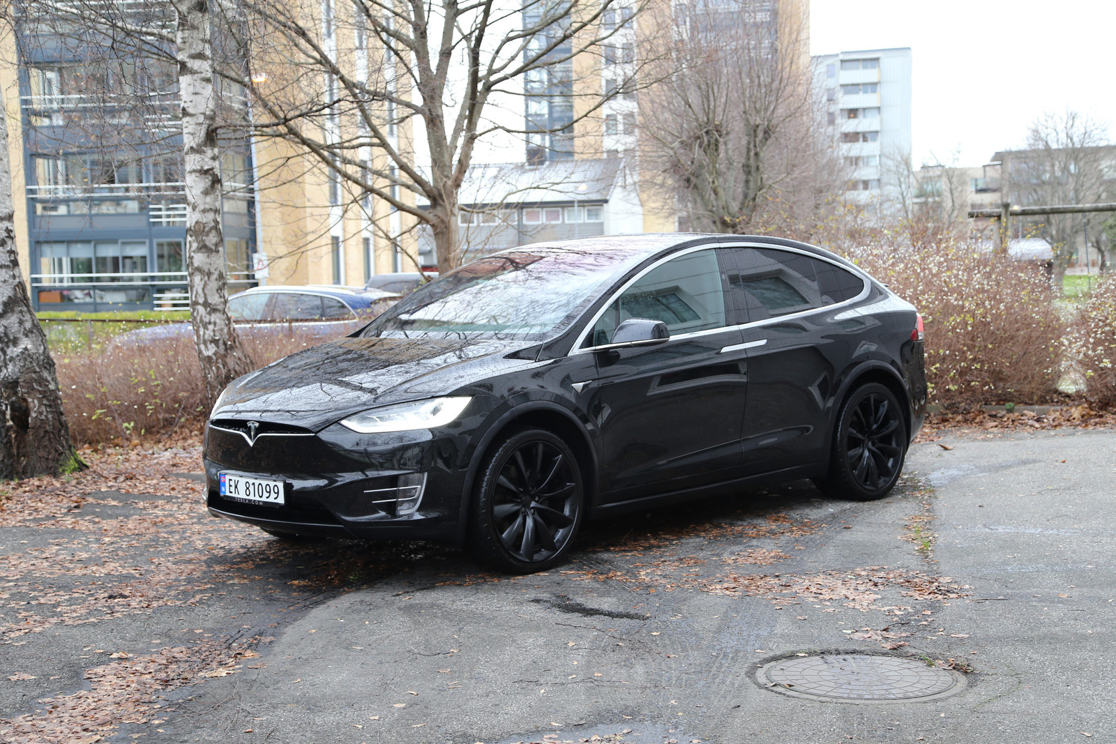 2018 Tesla Model X