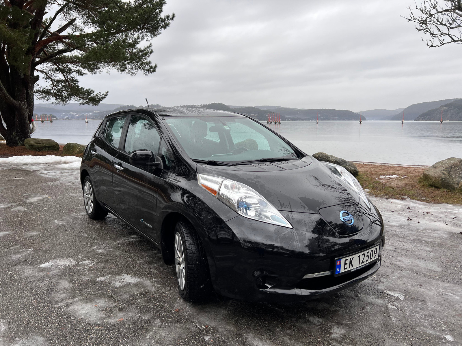 2014 Nissan Leaf