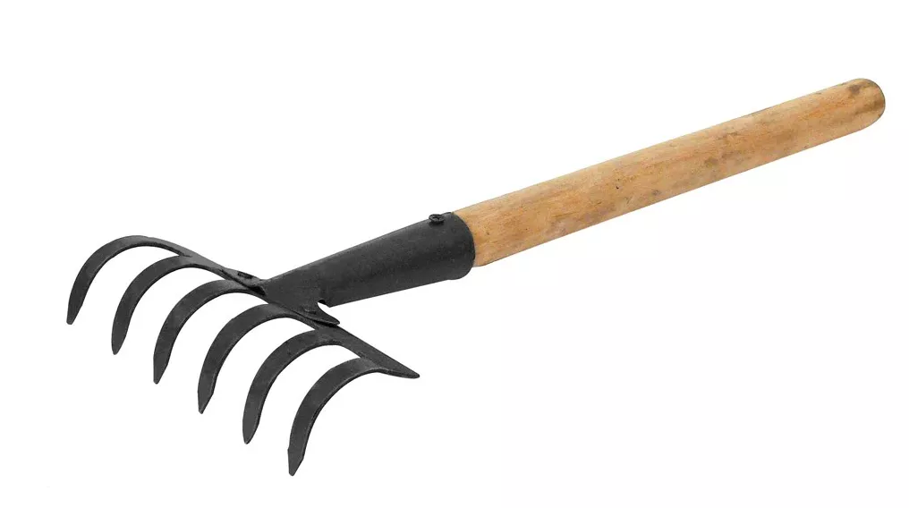 Грабли садовые 6 зуб с деревянной ручкой 170*460 мм. MASTER TOOL (14-6204)