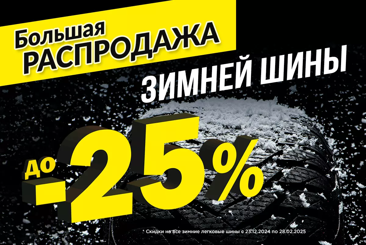 Зимние шины до -25%