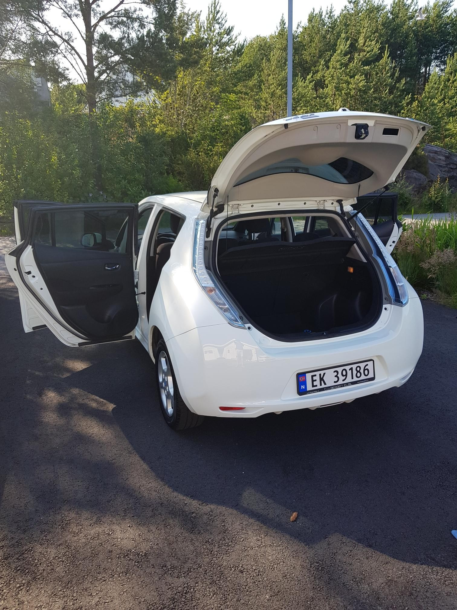 2014 Nissan Leaf