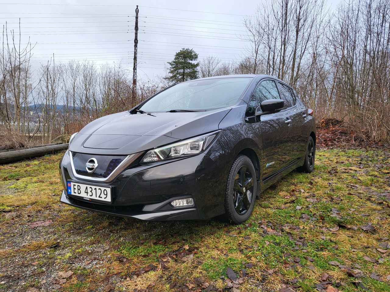 2020 Nissan Leaf