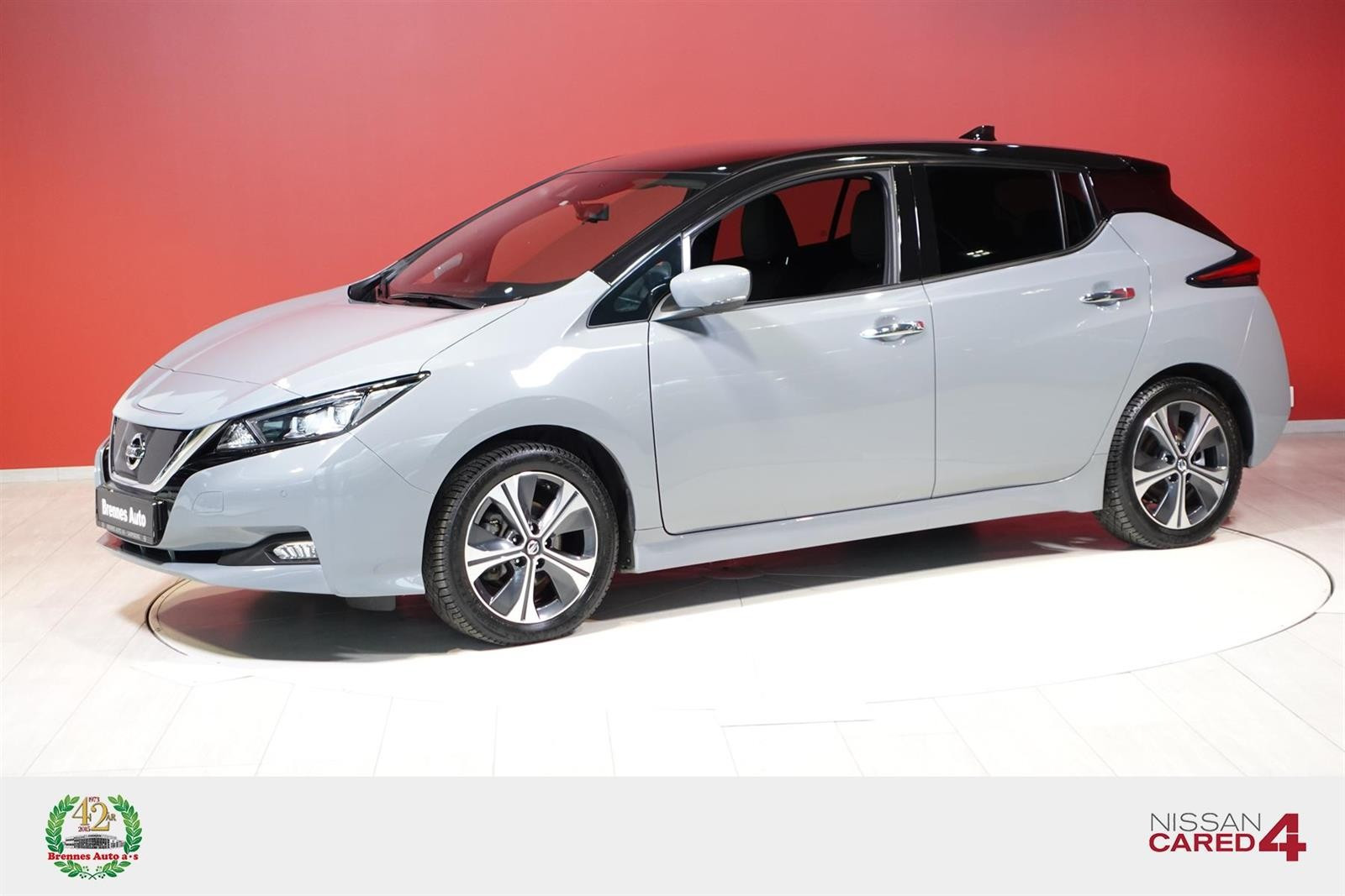 2021 Nissan Leaf