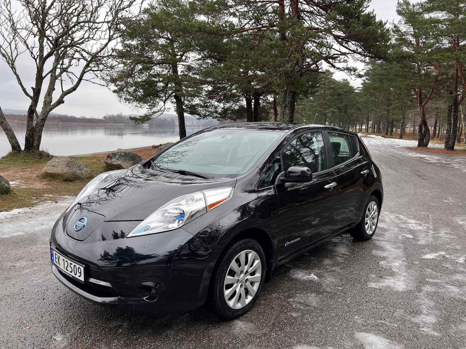 2014 Nissan Leaf