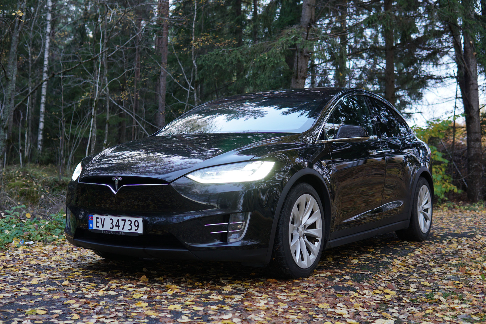 2019 Tesla Model X