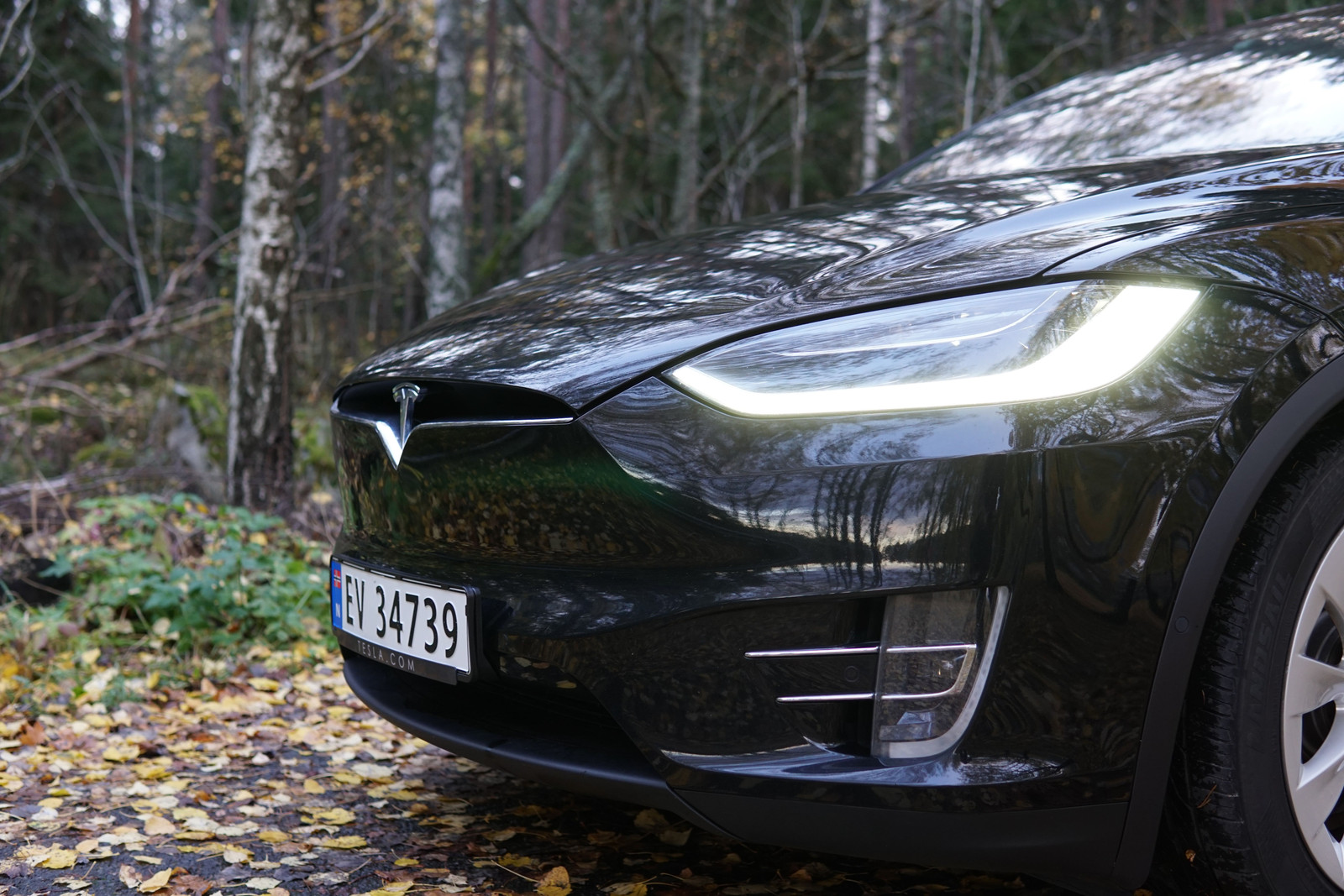 2019 Tesla Model X