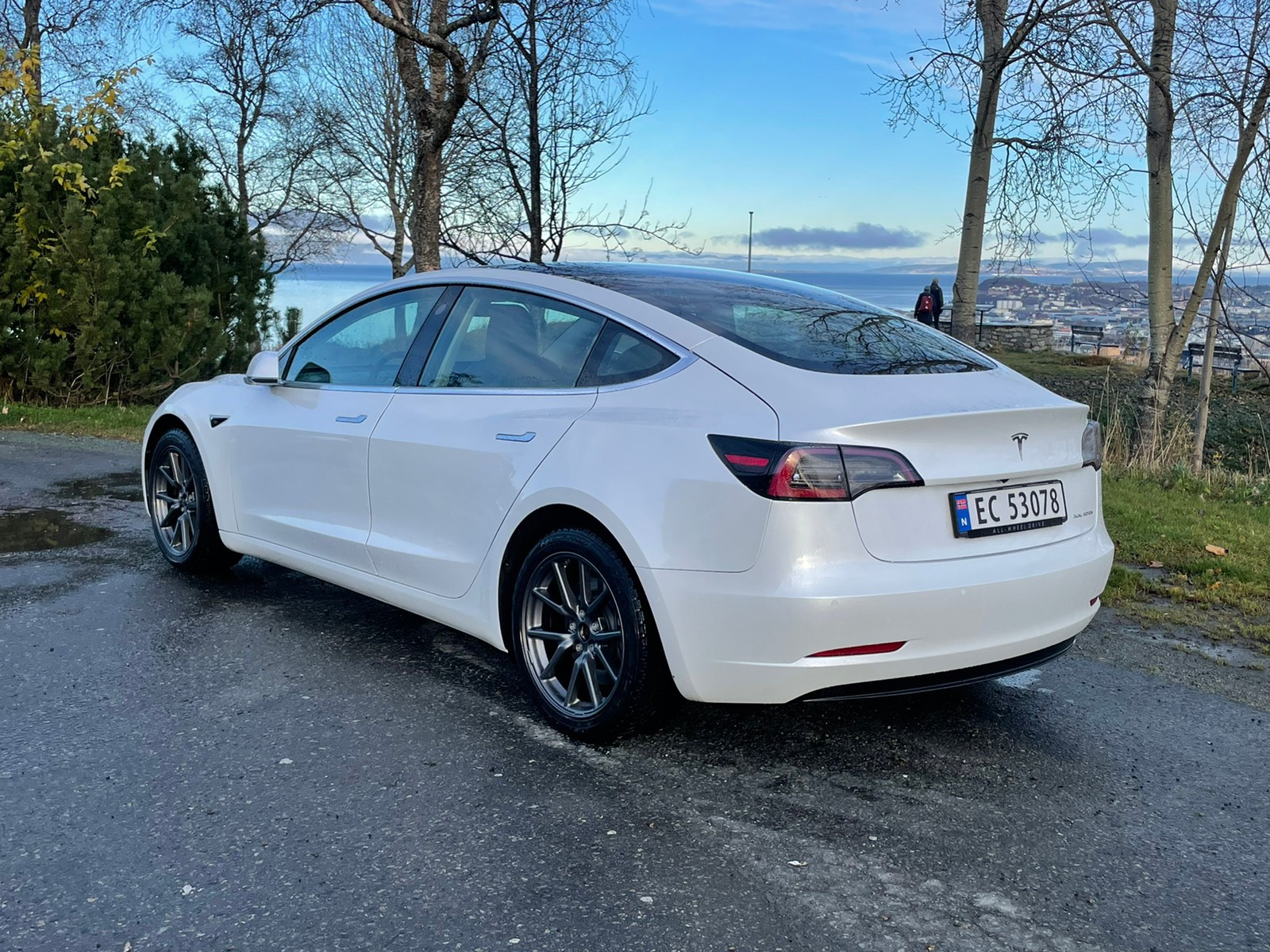 2020 Tesla Model 3
