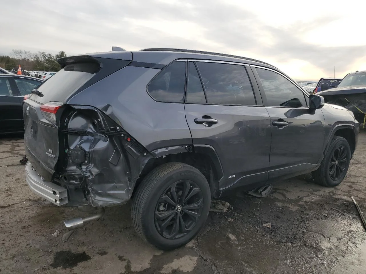 2024 TOYOTA RAV4 SE