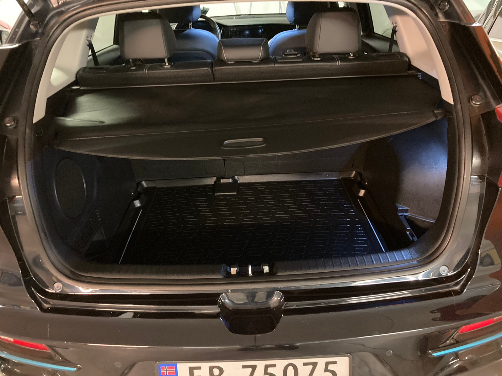 2020 Kia E-Niro
