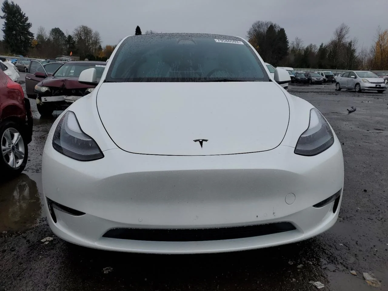 TESLA MODEL Y 2022