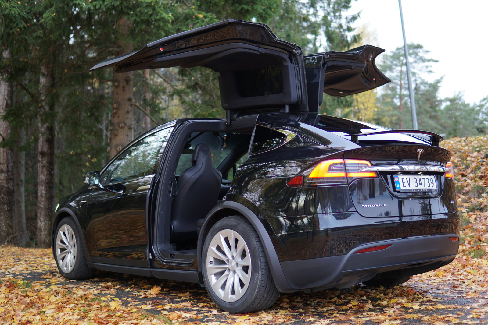 2019 Tesla Model X