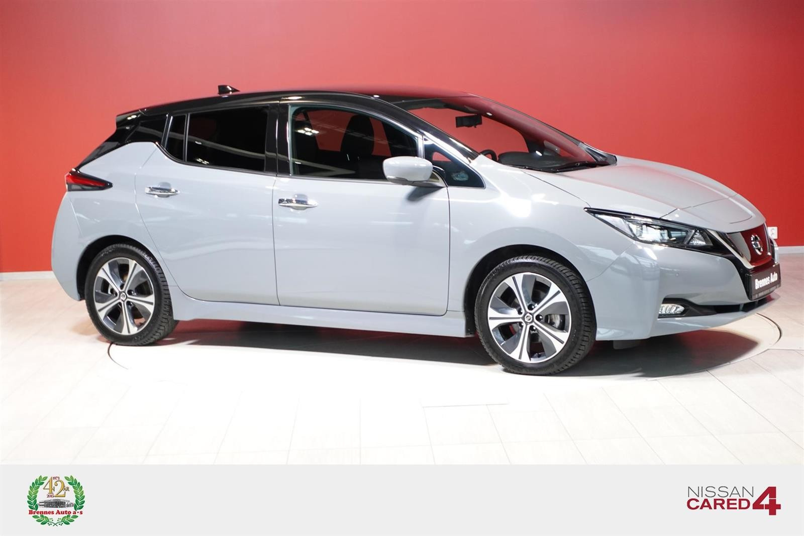 2021 Nissan Leaf