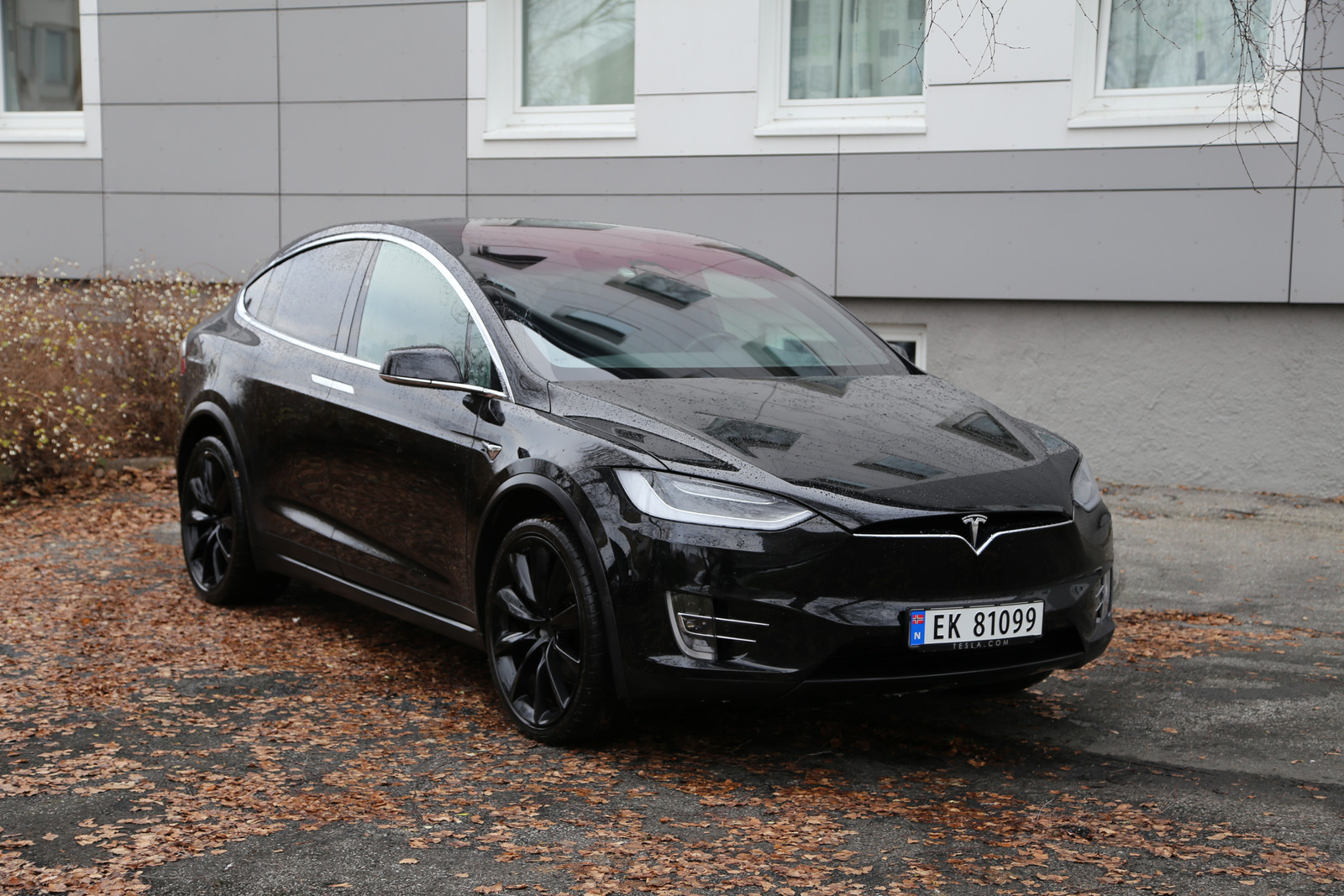 2018 Tesla Model X