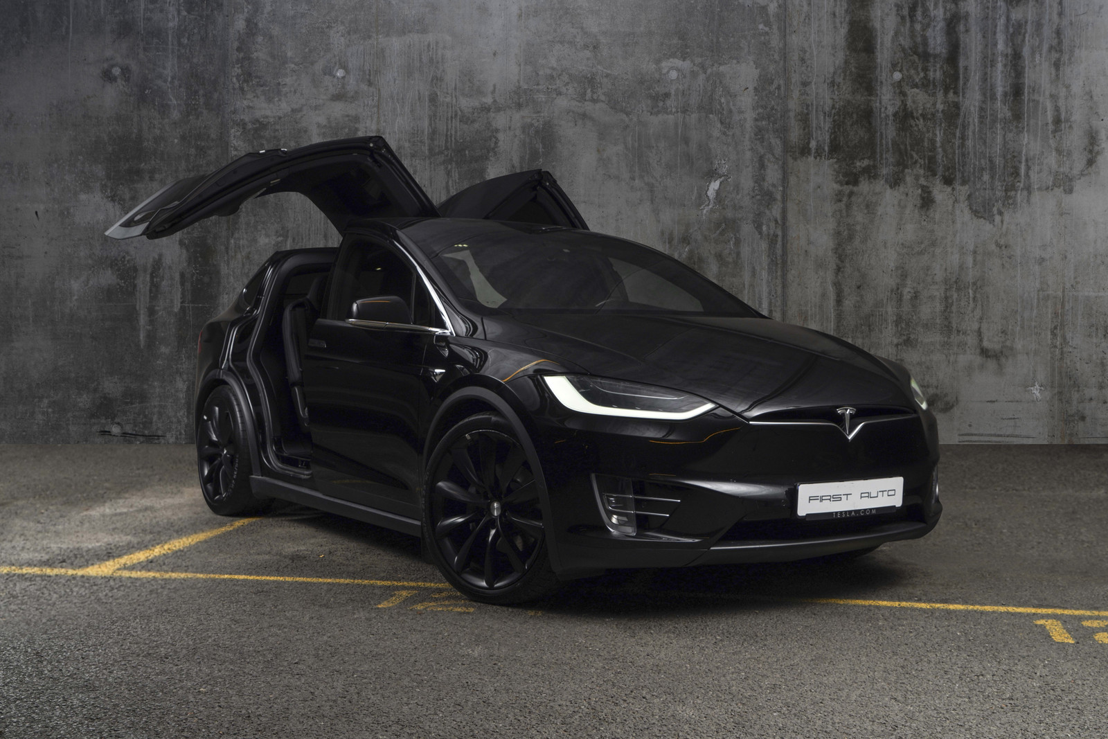 2017 Tesla Model X