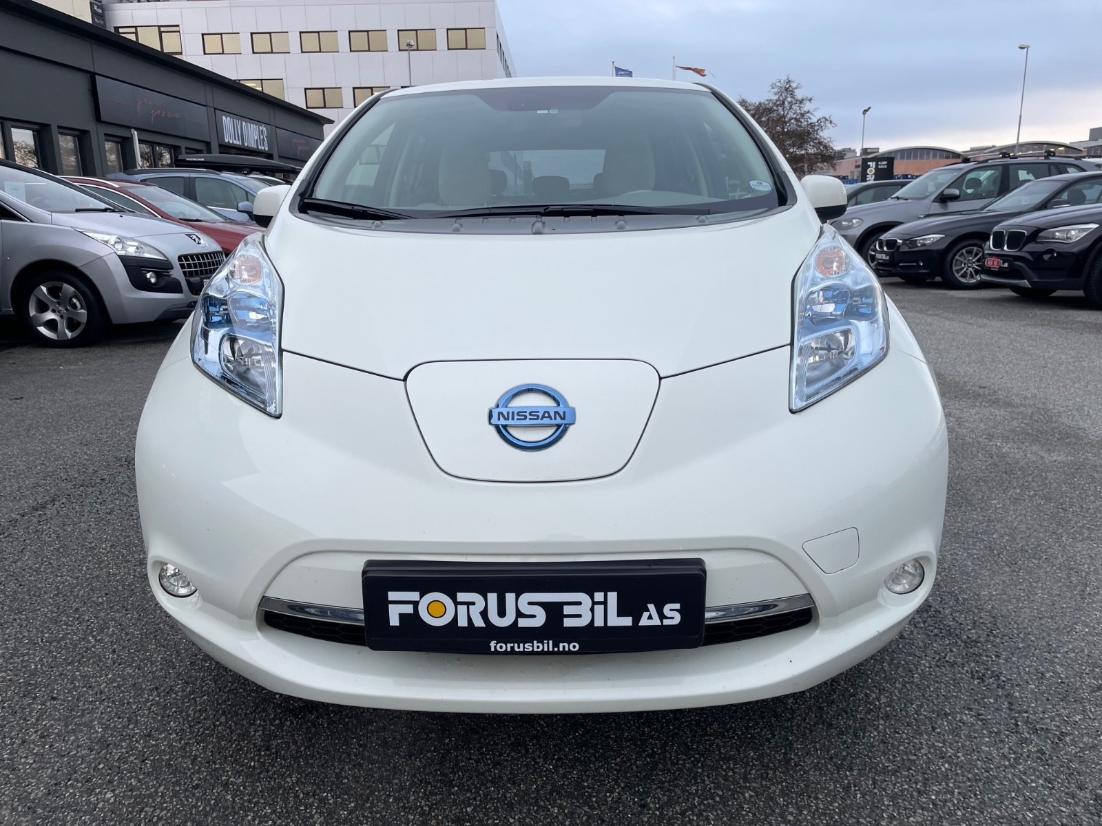 2013 Nissan Leaf