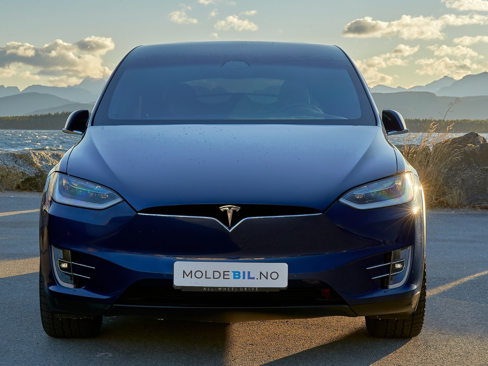 2019 Tesla Model X
