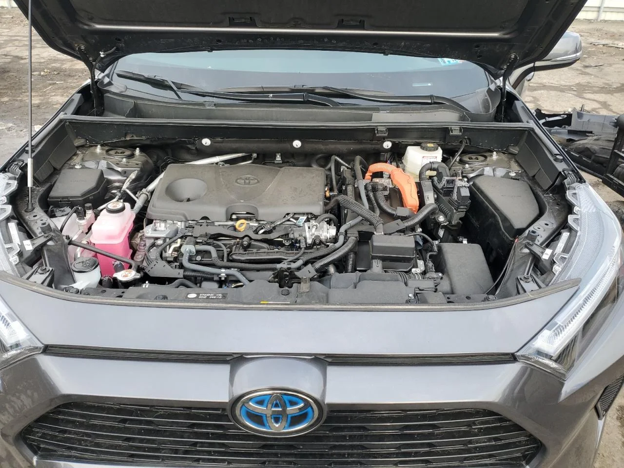 2024 TOYOTA RAV4 SE