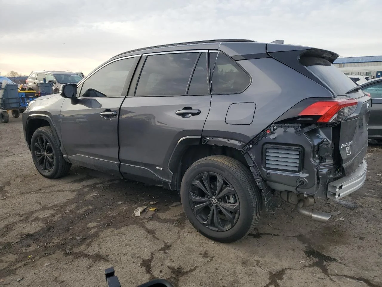 2024 TOYOTA RAV4 SE