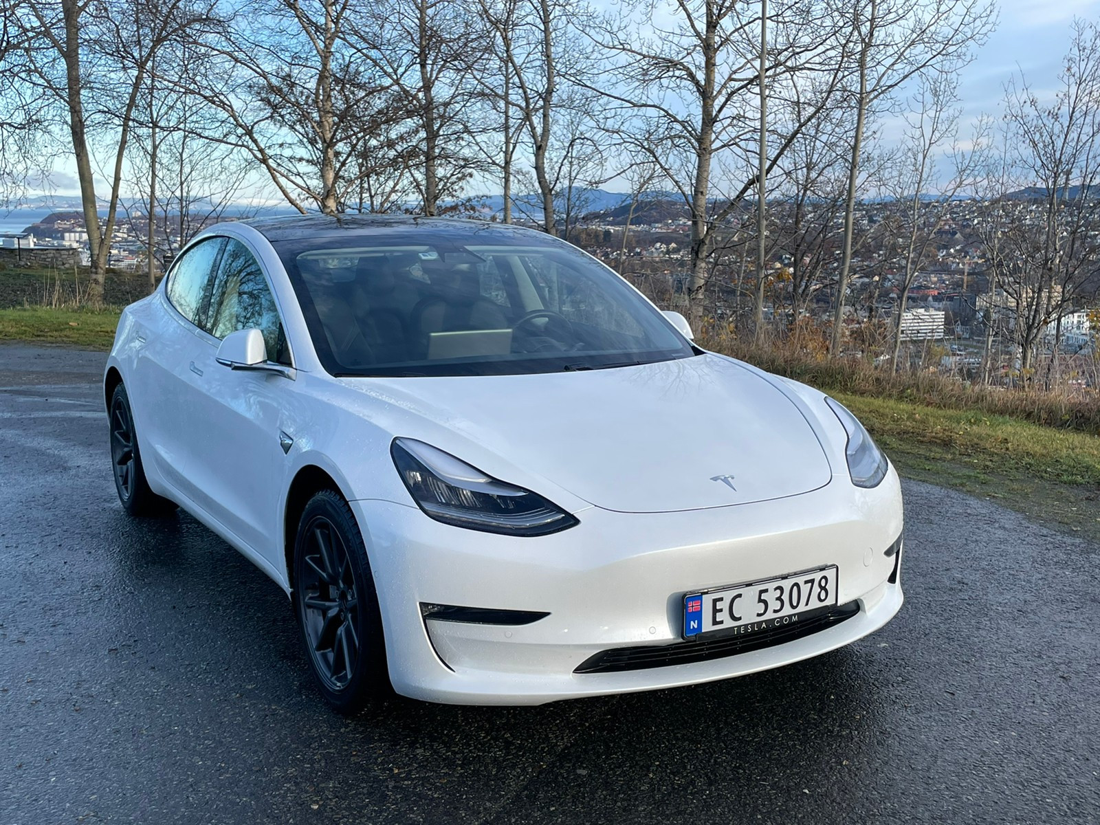 2020 Tesla Model 3
