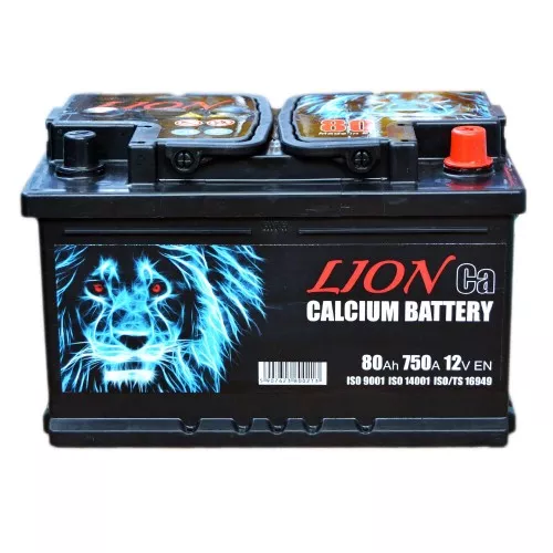 Аккумулятор Lion 6CT-80 Ев (-/+) (750EN) (R075624UN) Аккумулятор Lion 6CT-80 Ев (-/+) (750EN) (R075624UN)