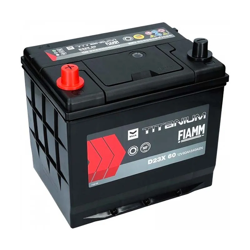 Акумуляторна батарея FIAMM 60А (7905181) Акумуляторна батарея FIAMM 60А (7905181)