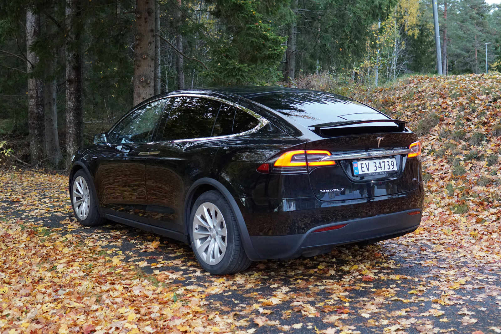 2019 Tesla Model X