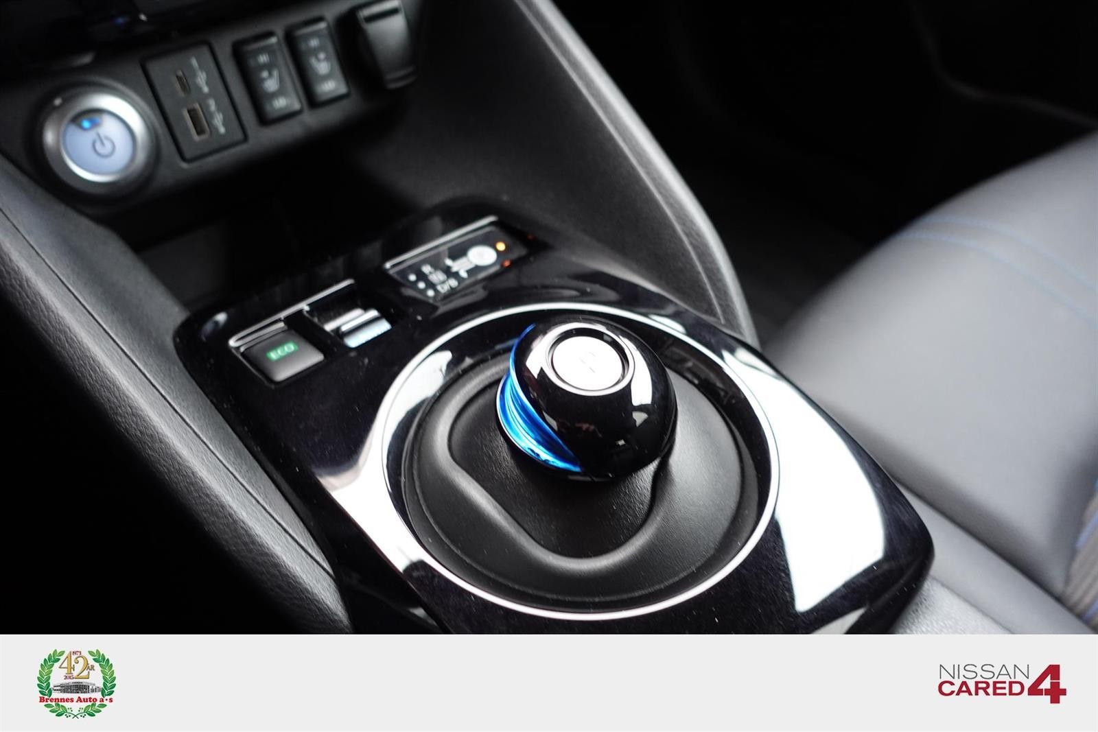 2021 Nissan Leaf