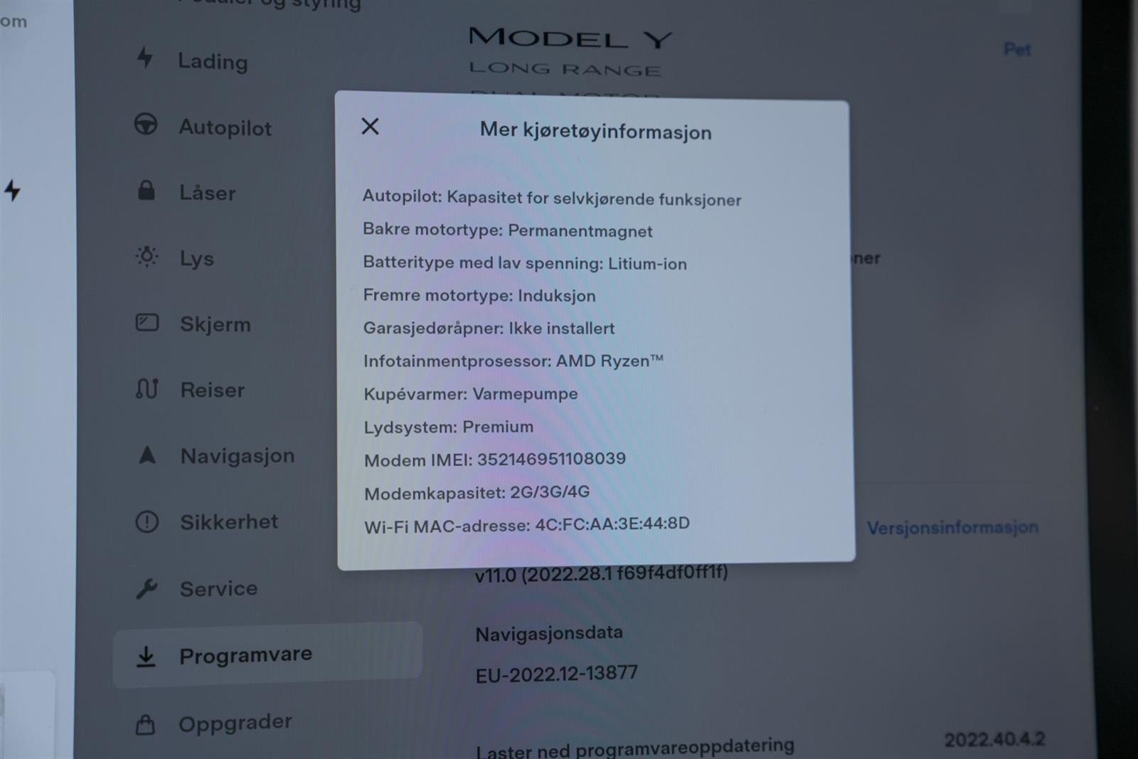 2022 Tesla Model Y