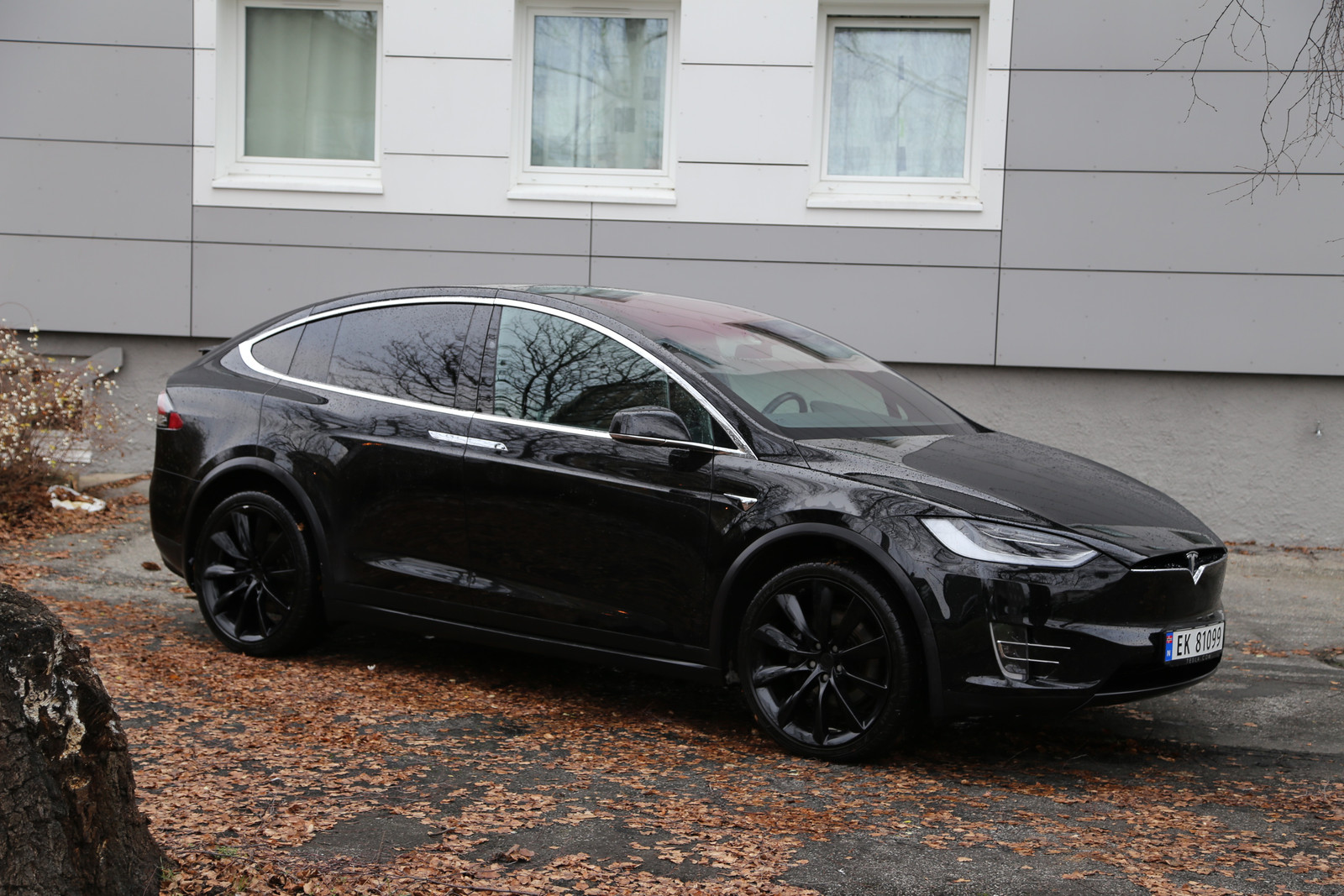 2018 Tesla Model X