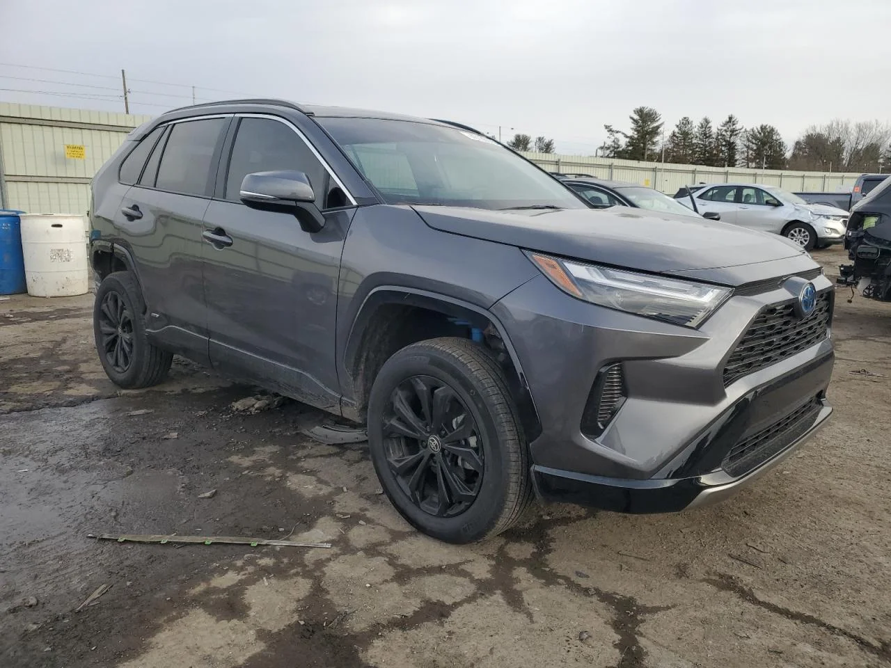 2024 TOYOTA RAV4 SE