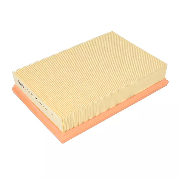 MANN-FILTER C 25 101/1 Повітряний фільтр