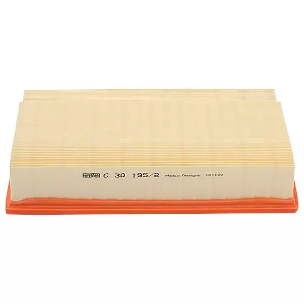 MANN-FILTER C30195/2 Повітряний фільтр