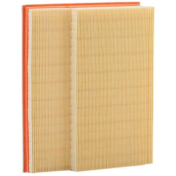 MANN-FILTER C30195/2 Повітряний фільтр