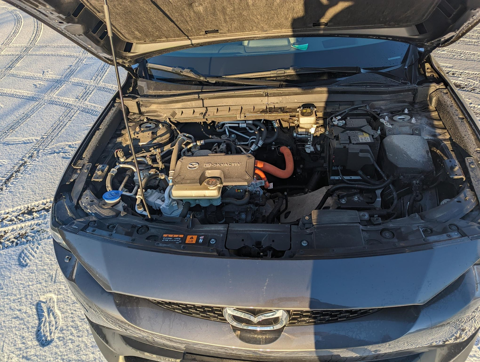 2021 Mazda MX-30