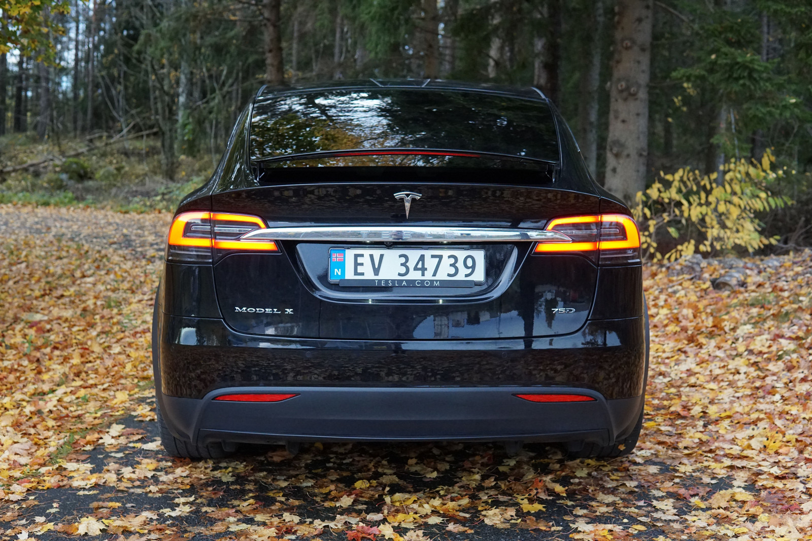 2019 Tesla Model X