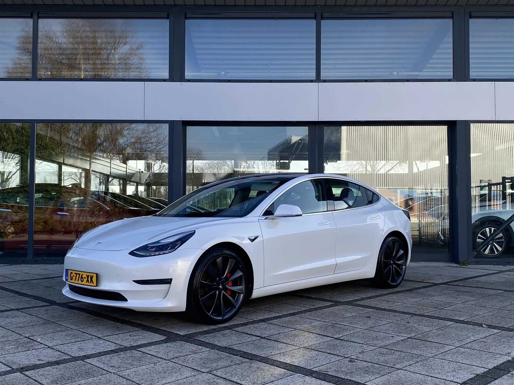 Tesla Model 3 Performance 75 kWh - AWD - Electric - Automatic - 462 hp - 121.576 km
