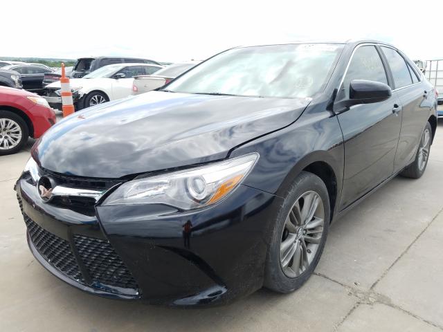 Toyota Camry-LE 2015