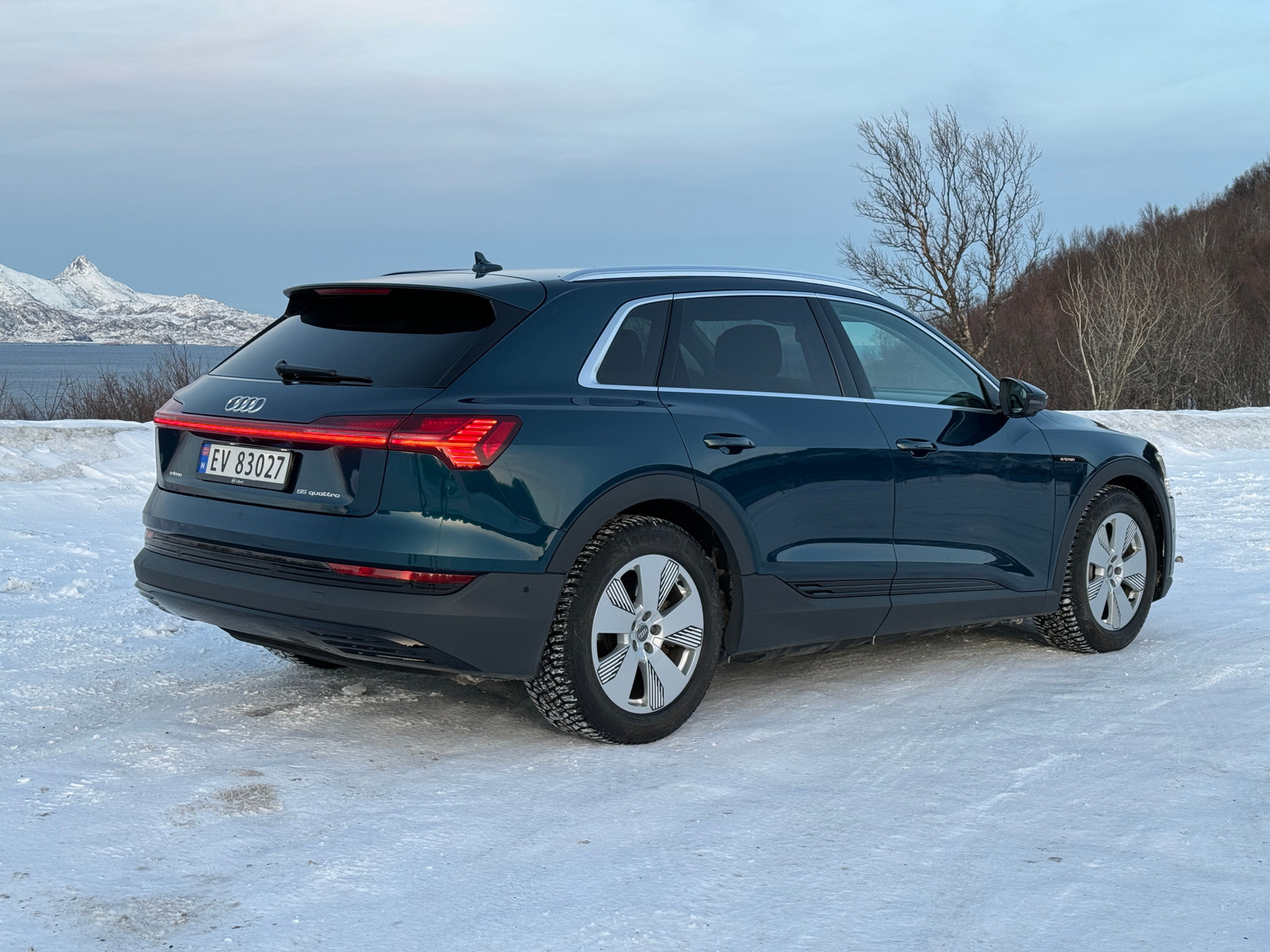 Audi e-tron