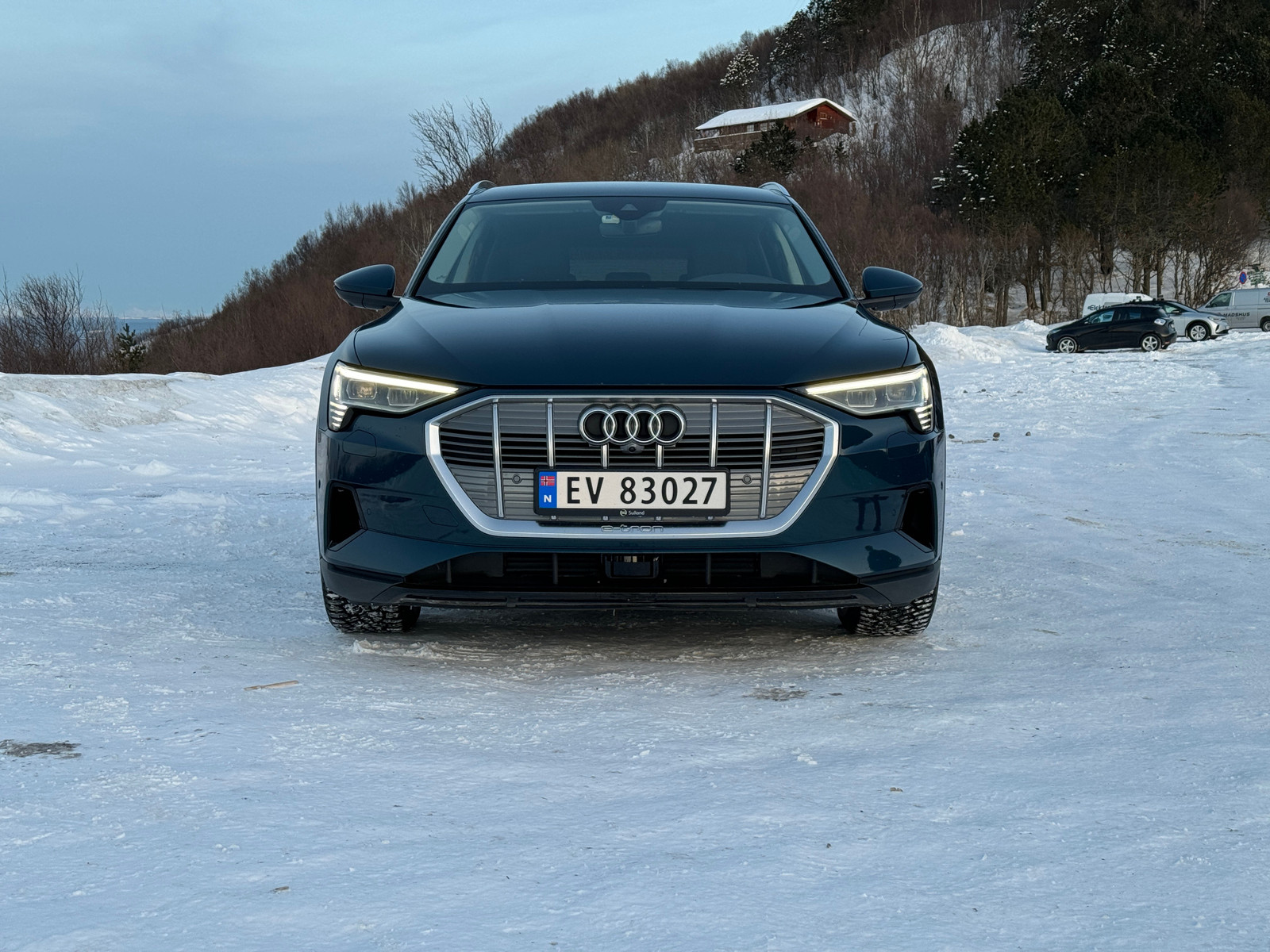 Audi e-tron