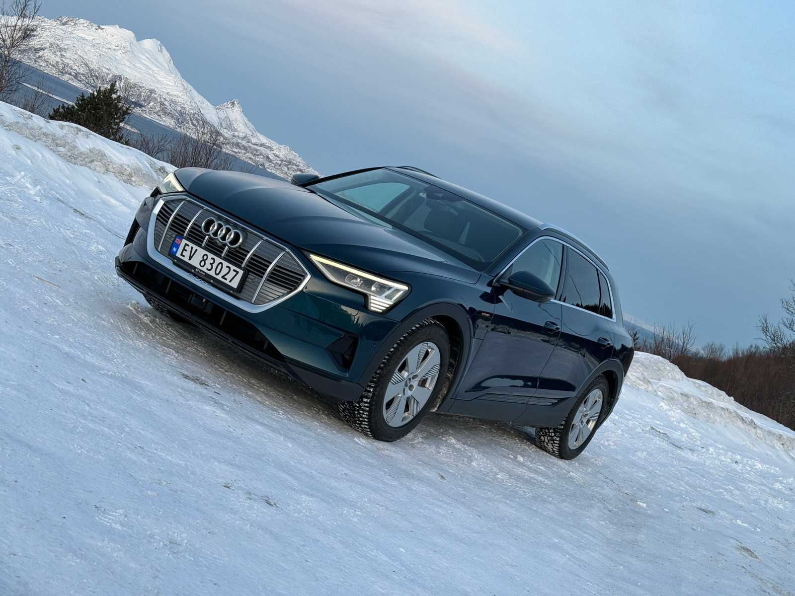 Audi e-tron