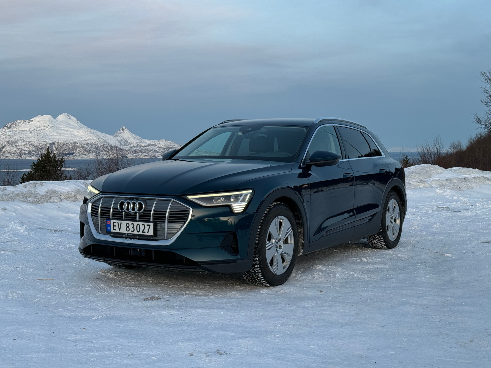 Audi e-tron