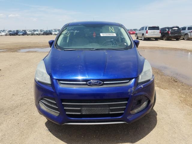 Ford Escape SE 2013