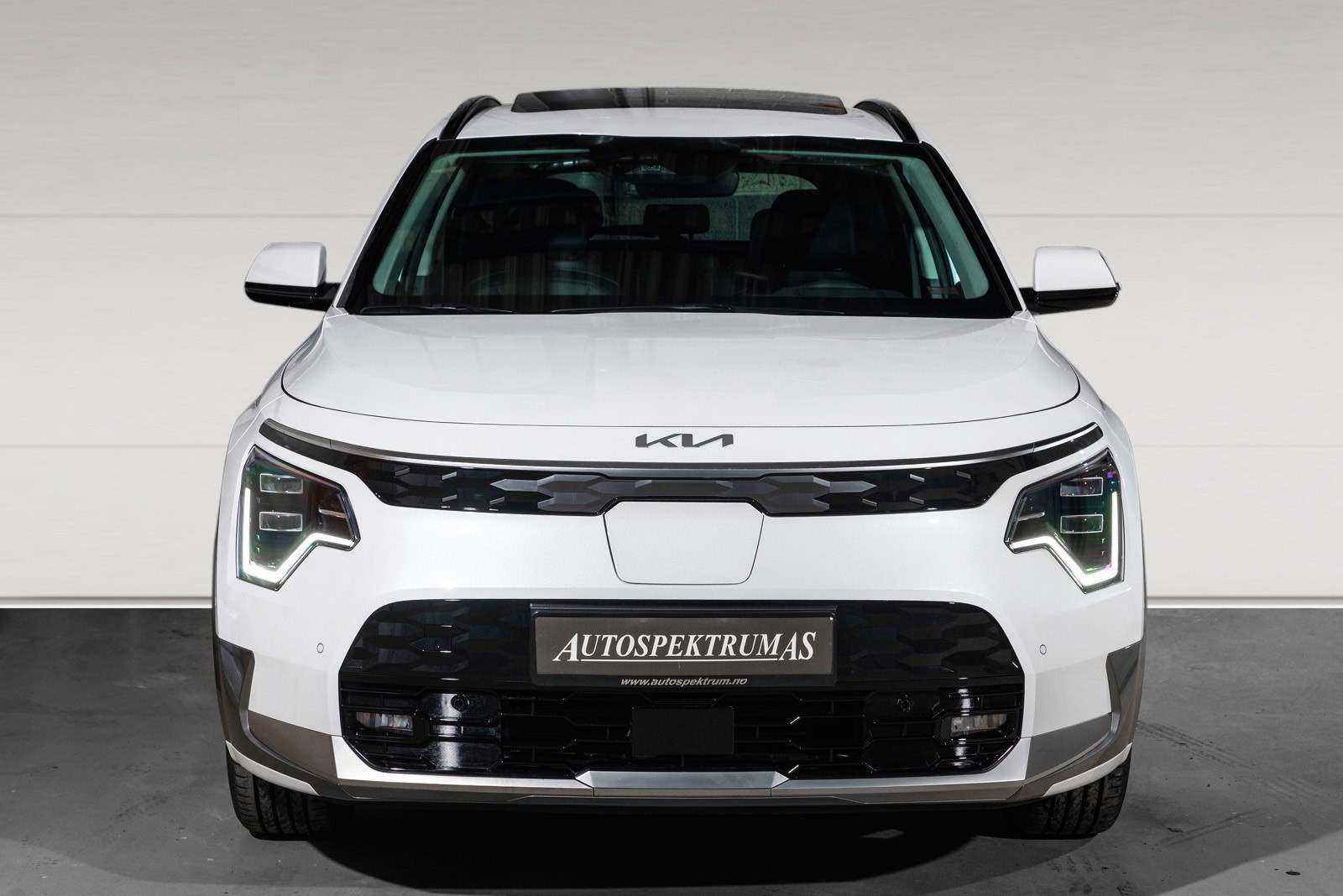 Kia E-Niro