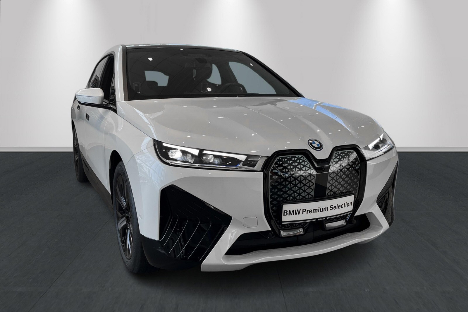 BMW iX xDrive 40