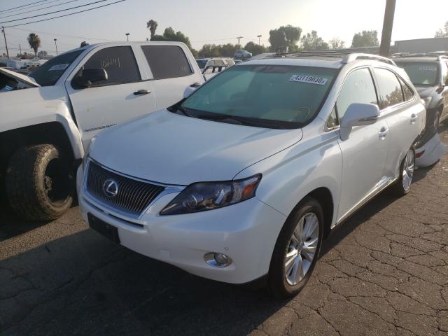 Lexus RX 450 2012