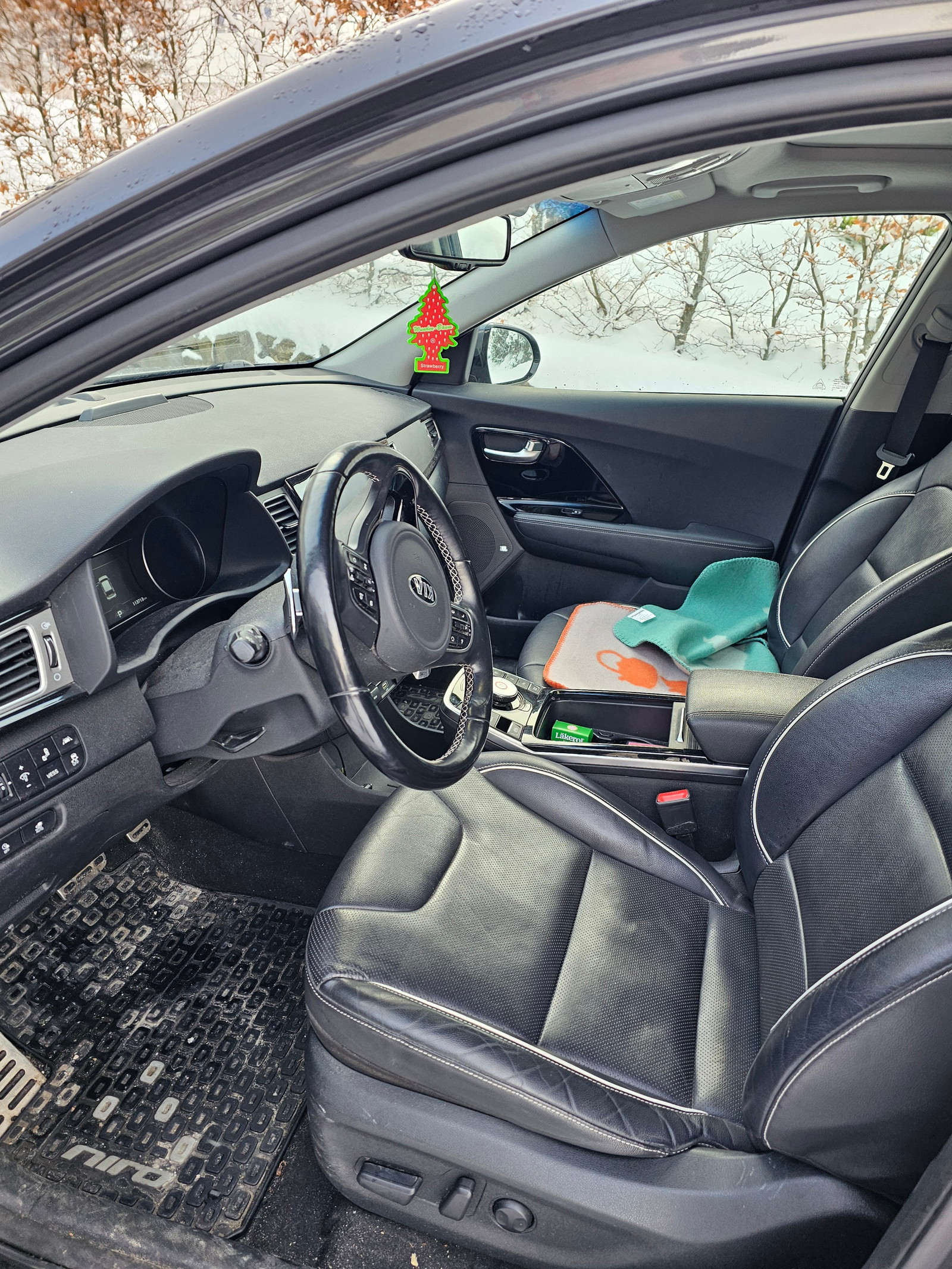 Kia E-Niro