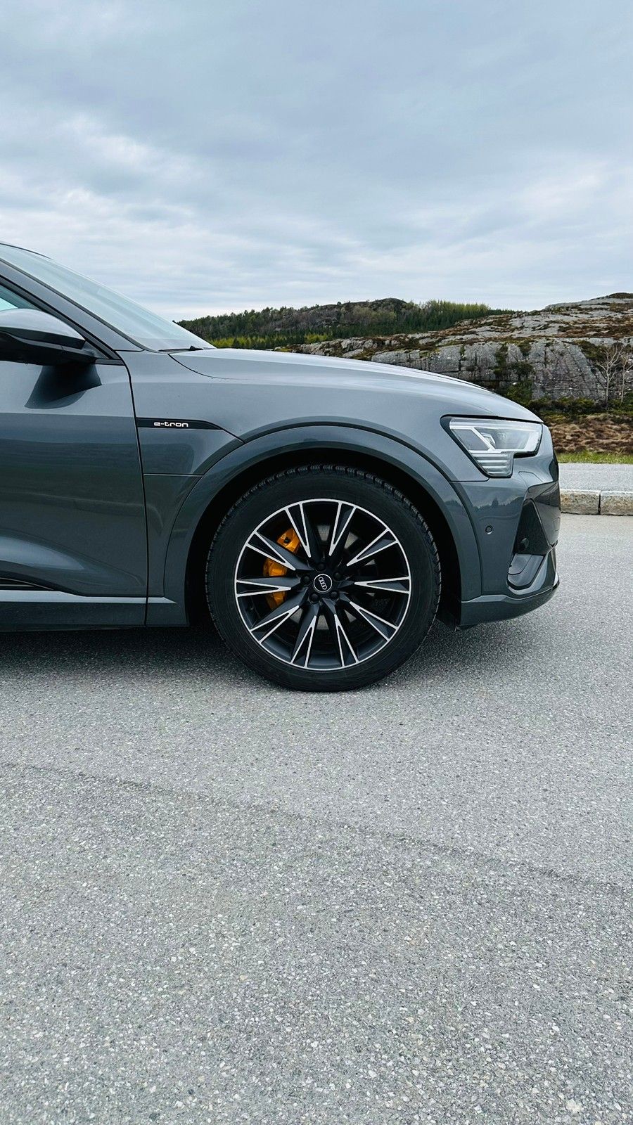 Audi e-tron