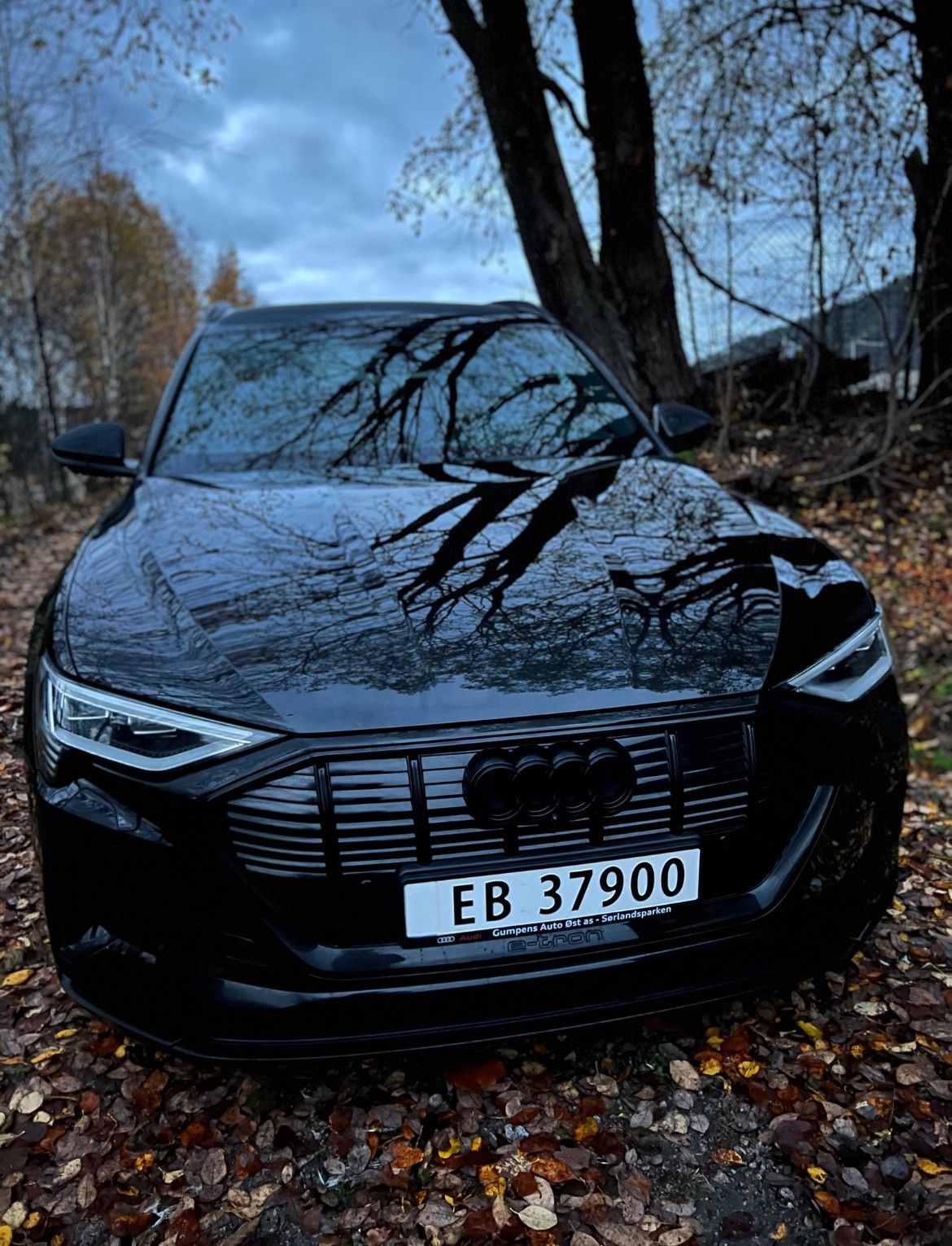 Audi e-tron