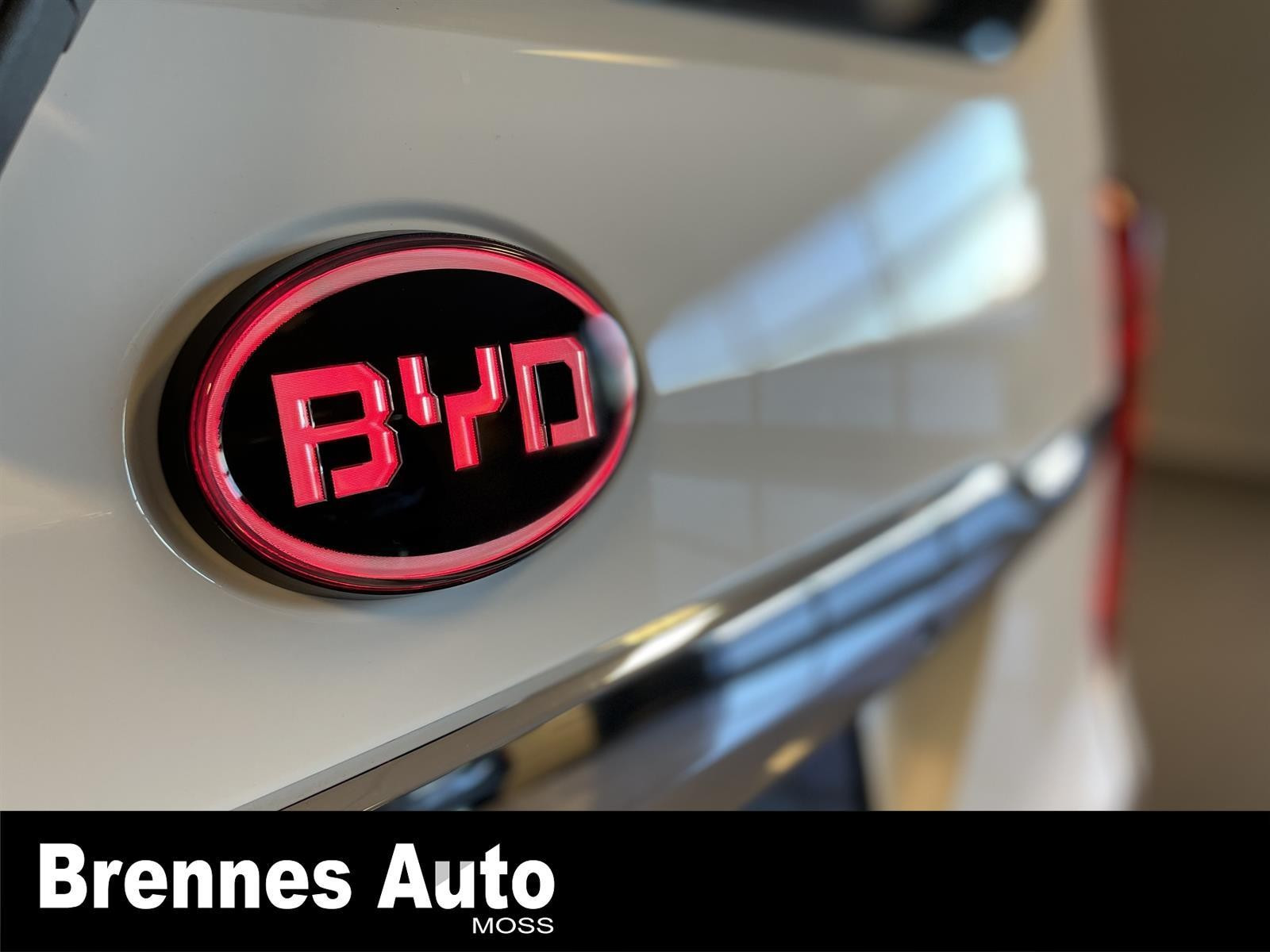 BYD T3