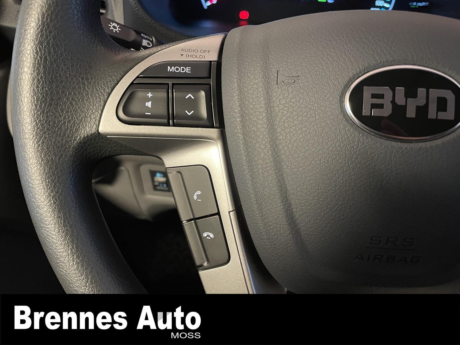 BYD T3